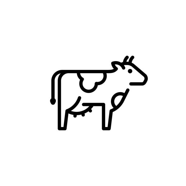 moo-moo-demo